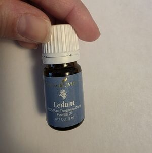 Young Living Ledum Essential Oil L